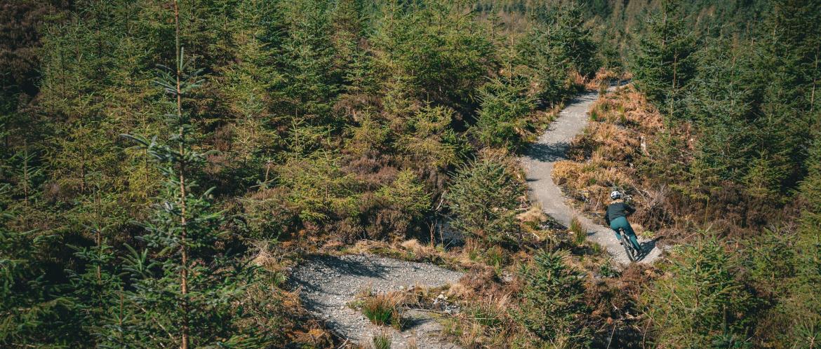 Chain Reaction Cycles UK