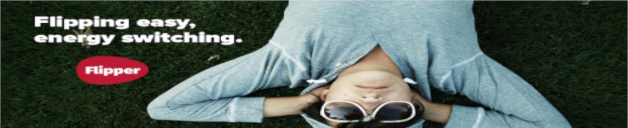 Flipper 